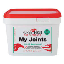 HORSE FIRST - My Joint