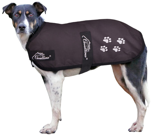 Cavallino Dog Coat 100gm Fill