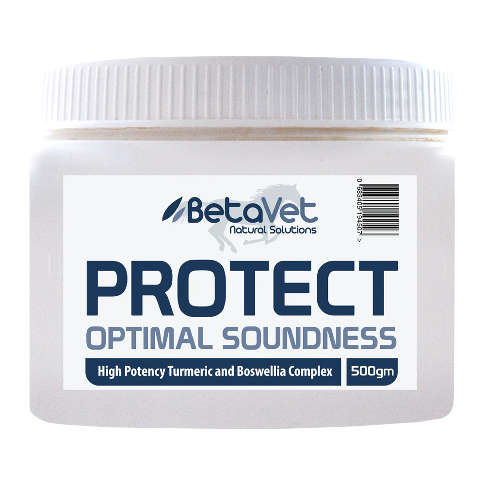 BetaVet - Protect